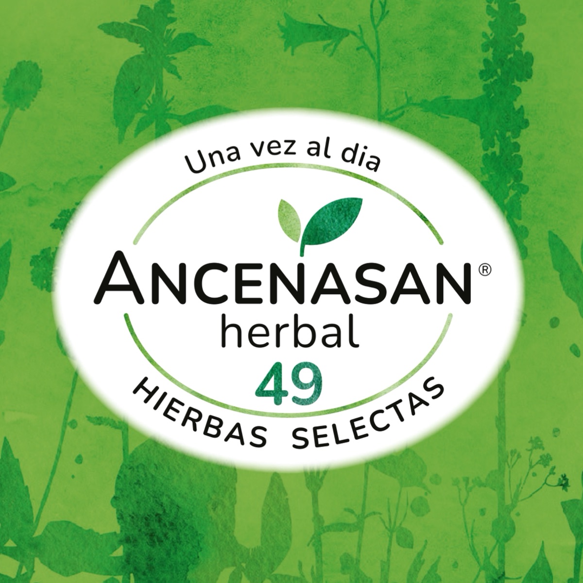 ancenasan 