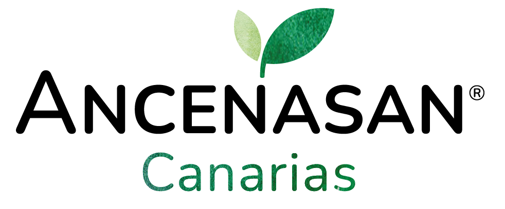 Logo Ancenasan